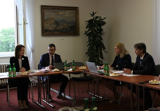 Negotiations with the European Commission: Technical support for reforms and preparations of the Czech EU presidency