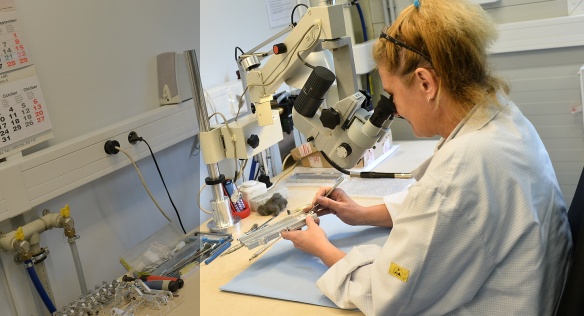 Premiér: Musíme se živit jedinečnými výrobky