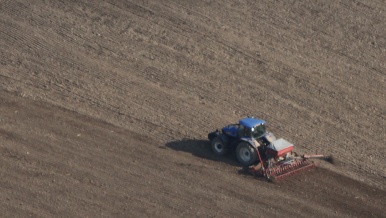 Ilustrační obrázek - zemědělství, pole