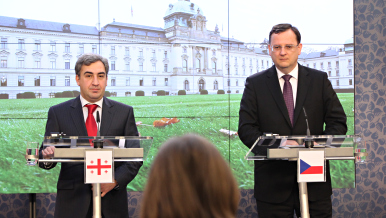 Tisková konference po jednání předsedy vlády Petra Nečase a předsedy vlády Gruzie Niky Gilauriho, 28. listopadu 2011