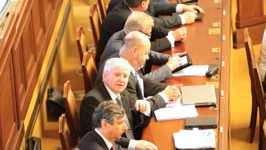 Rusnokova vláda se představila ve sněmovně, 17. července 2013