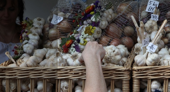 Předseda vlády Jiří Rusnok v sobotu 31. srpna 2013 navštívil 40. ročník mezinárodní výstavy Země živitelka v Českých Budějovicích.