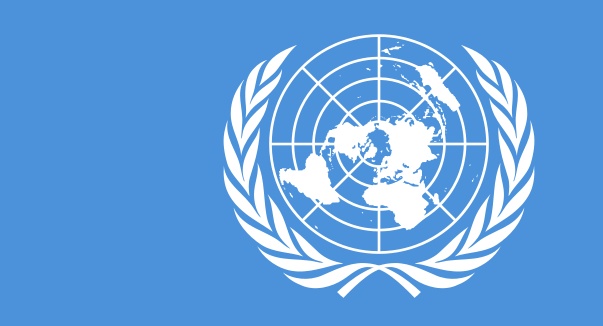 Premiér vystoupí před Valným shromážděním OSN - ilustrační obrázek vlajka OSN