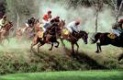 Premier To Visit the 117th Česká pojišťovna Grand Pardubice Steeplechase