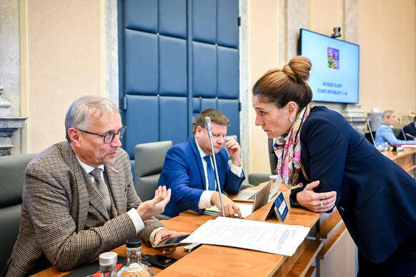 Ministryně spravedlnosti Eva Decroix v diskusi s ministrem pro evropské záležitosti Martinem Dvořákem, 29. října 2025.